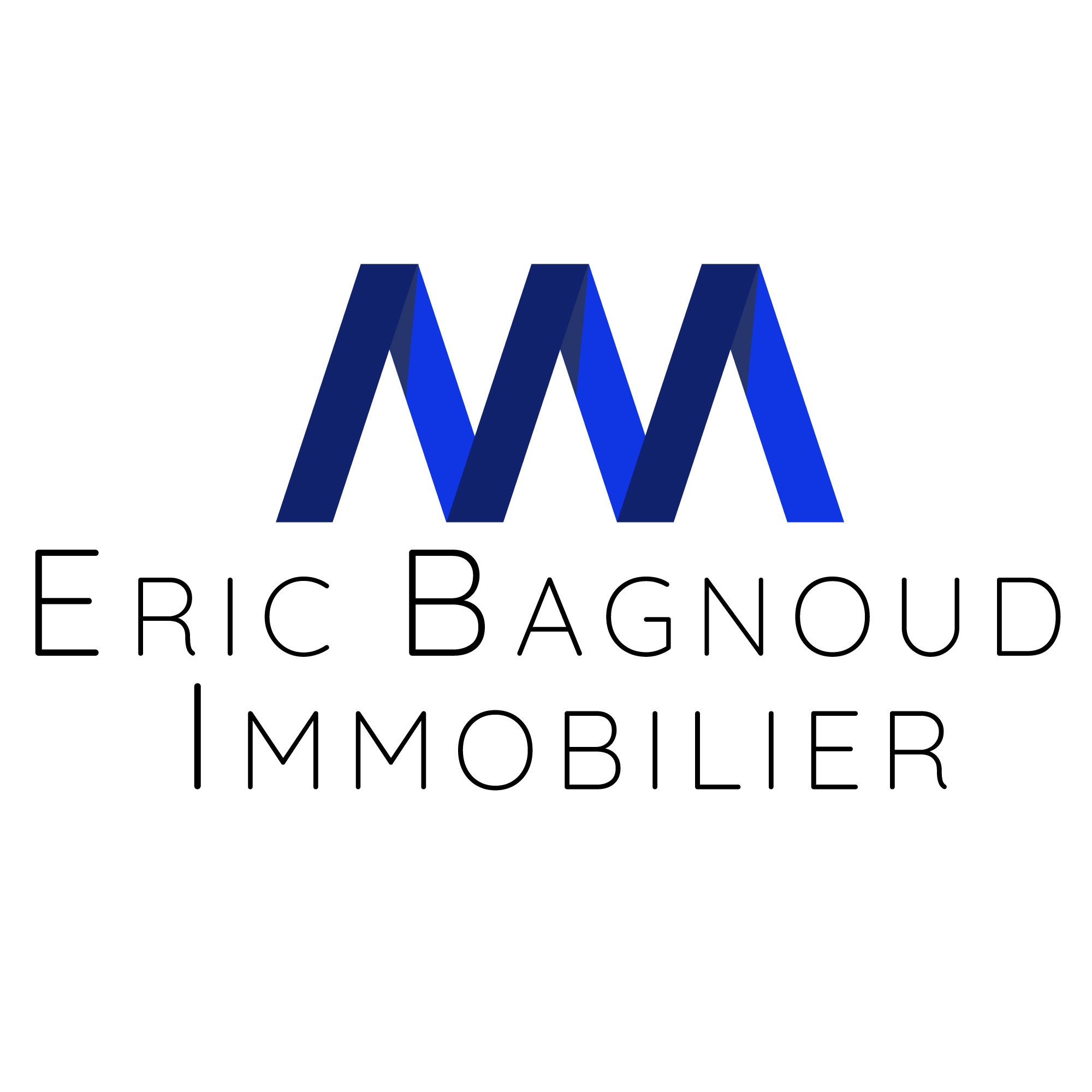 Diseño de logotipos en Valais